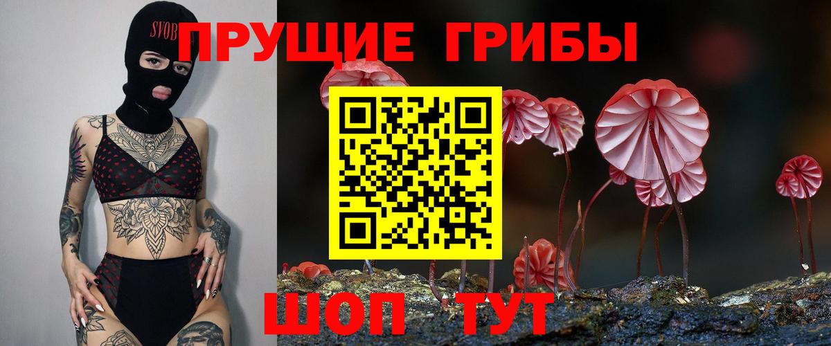 Псилоцибиновые грибы мухоморы  Псилоцибиновые грибы GOLDEN TEACHER  Вход с VPN  Качканар 